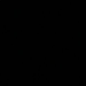 Meet your Posher, Jayla